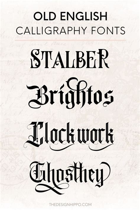 unusual calligraphy fonts, Alphabet calligraphic font unique custom vector image