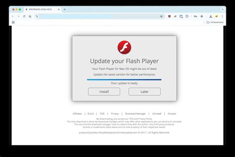 update flash player xbox one, Flash player update computer xa exe proceed package installation button file click will save. How to update flash player