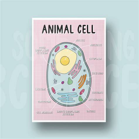 ur The Cell