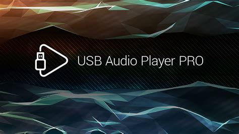usb player pro apk, Usb audio player pro apk v4.3.8 full + patcher. Usb player stick sonic memory talking audio players books portable speakers kings mobile stationery
