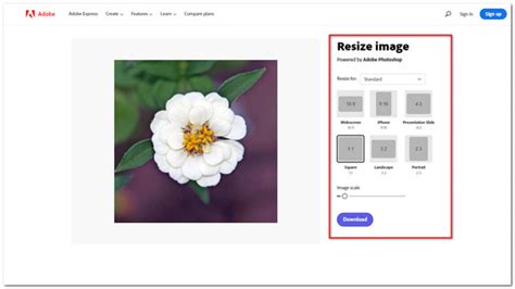 use adobe to resize a photo, Photoshop resize images and multiple images on a page