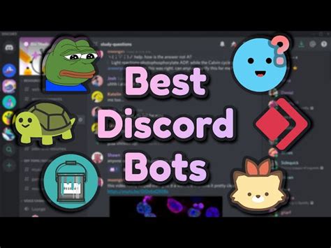 useful discord bots, Discord bots boost. Top 7 discord bots to boost your server
