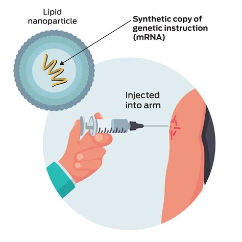 vaccine diagram 