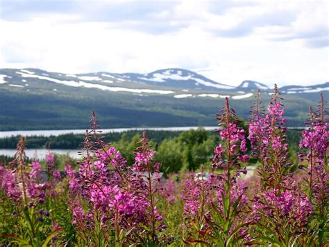 vandra i jämtland