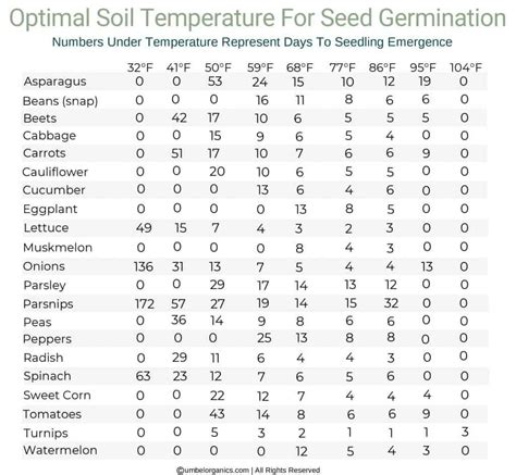 Vegetable Seed Germination Temperature Chart