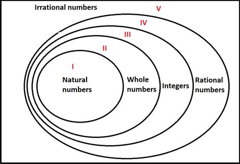 venn diagram natural whole numbers 