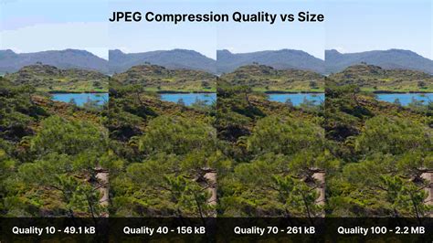 video format compression comparison, Why and how to use lossy compression on your wordpress images. Compression lossless perte kinsta
