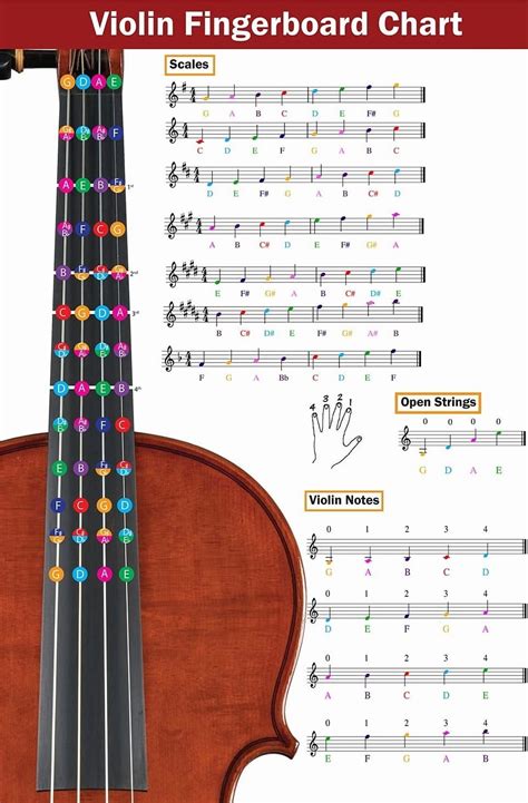 violin finger notes diagram 