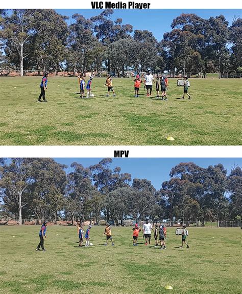 vlc vs mpv reddit, Vlc vs mpv : programmerhumor