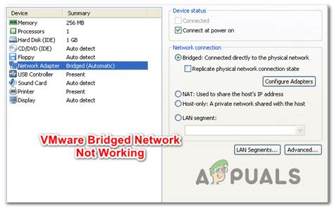 vmware nat connection not working, Setting up nat networking
