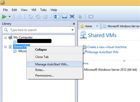 vmware workstation autostart vm on boot, Vm boot options