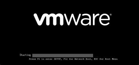 vmware workstation player boot from cd, Profesión armario antibióticos bios forcesetuponce true alarmante