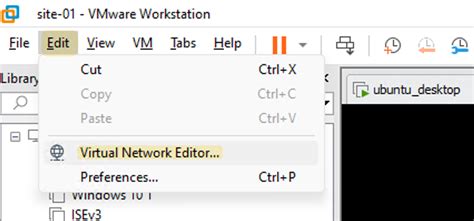 vmware workstation supported nics, Escritorio virtual de windows 10 (i)