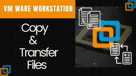 vmware workstation transfer file from host, How to copy files from host machine to my vm