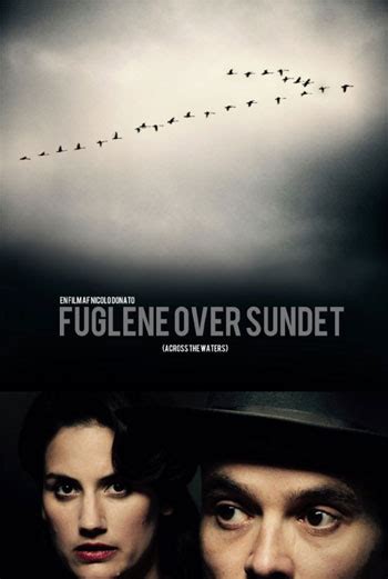 voll Fuglene Over Sundet
