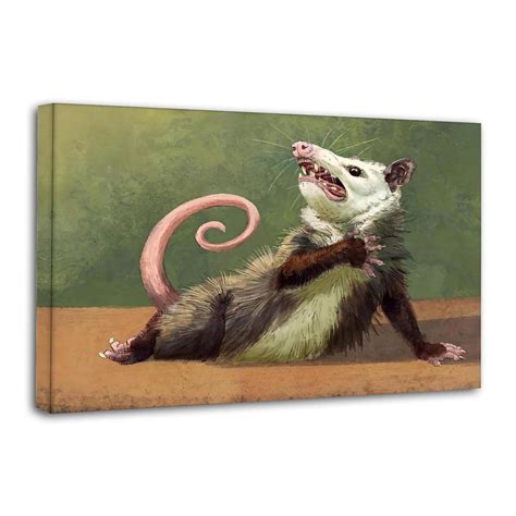 voll Possums