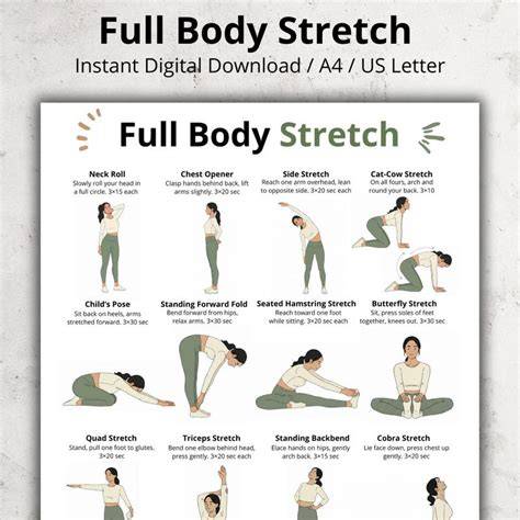 voll Stretch