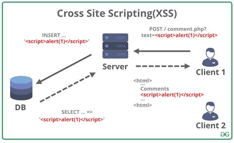 Vulnerability Categorizations And Catalogs For Cross Site Scripting