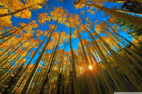 wallpapers for desktop early fall, Px landschaft monitor wallhere hintergrundbilder. Early fall desktop wallpapers (43+ images)