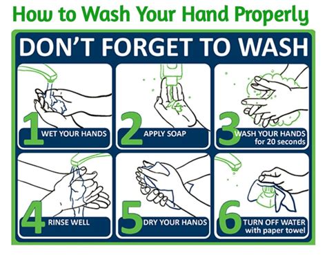 wash your hands properly, Wash properly freevector. Wash your hands properly vector art & graphics