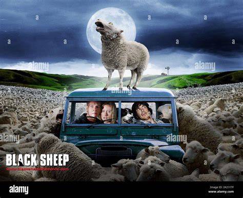 watch Black Sheep