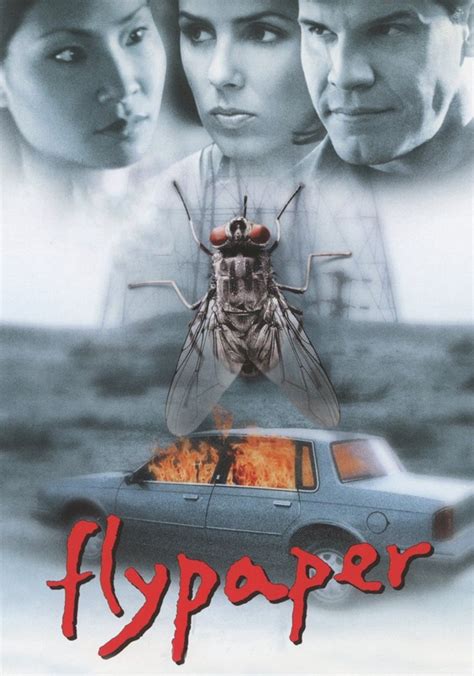 watch Flypaper