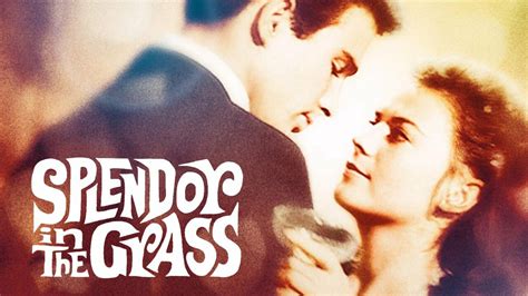 watch Splendor in the Grass