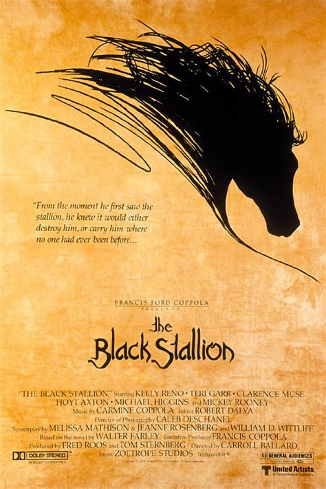 watch The Black Stallion