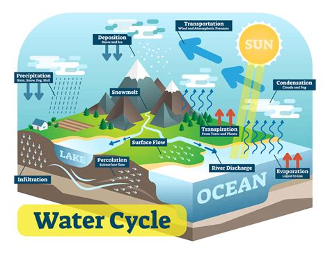 water cycle diagram education interactive discovery 