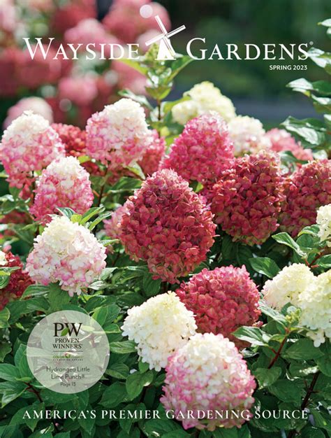 Wayside Gardens Catalog