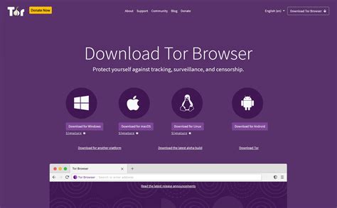 web browser called tor, What is tor browser? and how the dark web browser works (2022)