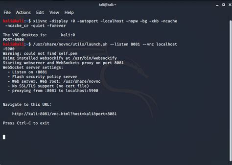 web browser for kali linux, Hacking with kali linux web service hacking. Kali hacking benisnous