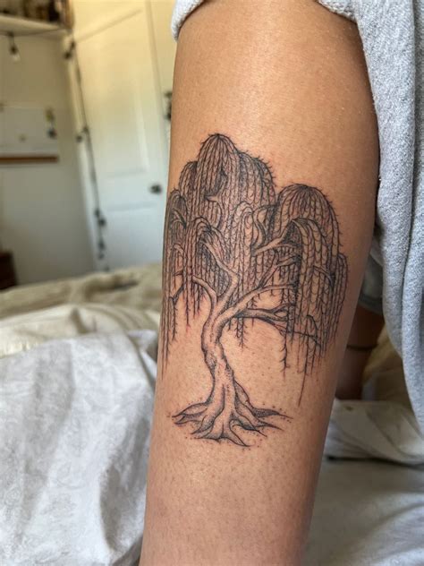 weeping willow tattoo, Tattoo willow weeping tattoogrid tree forearm rectangle tattoos tattooed right branch saved. Weeping willow tattoo