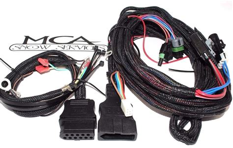 western wiring harness 