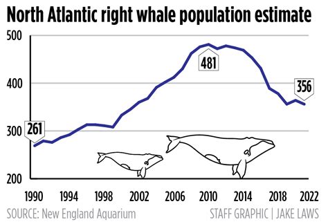 Whale Population Chart