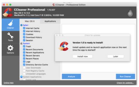 what does ccleaner pro cost, Ccleaner professional: how much does it cost and how is it different. How much does ccleaner pro cost