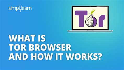 what is tor browser and how it works, What is the tor browser? and how the dark web browser works (2022)