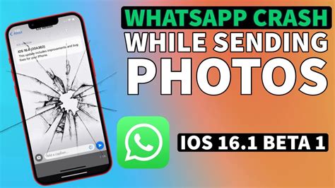 whatsapp app crashing on iphone, [whatsapp app crashing] how to fix whatsapp app crashing on iphone