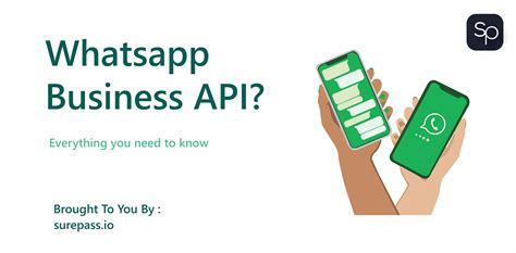 whatsapp business api java, Whatsapp business api 101