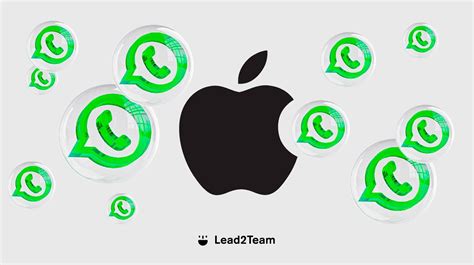 whatsapp business mac, New whatsapp app for mac, now with group calling