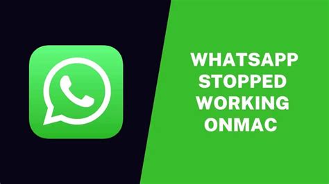 whatsapp business stopped working, Why is my whatsapp business not working on iphone?