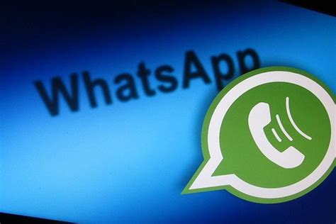 whatsapp web can't open, Whatsapp web and app for pc: what are they, how to use on laptop, top 5