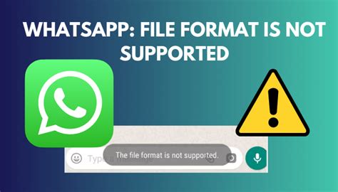 whatsapp web mp4 not supported 2025, Mentale leonardoda soddisfare whatsapp mp4 video not supported dual