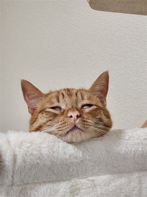 when i get flashed meme, Stops izismile. I don't always get flashbanged but when do, it's because i threw it