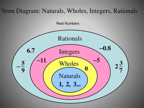 whole numbers integers vvenn diagram 