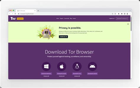 why does tor browser keep coming back, Tor browser onion скачать mega
