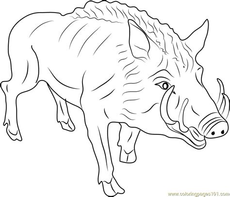 wild boar coloring page, Wild swine coloring page for kids free boar printable coloring pages