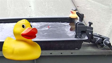 wimbledon bath duck, The ducks are enjoying the water on henman hill today #wimbledon