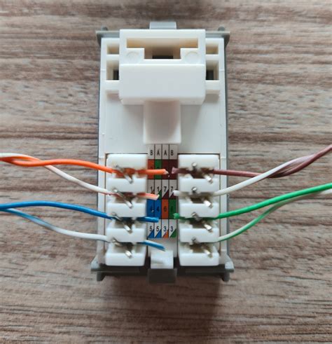 wiring diagram for network socket 