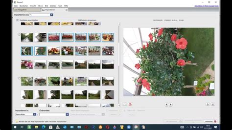 wo speichert picasa bilder, Whatsapp: wo sind die bilder gespeichert?